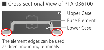 Cross-sectional View of PTA-036100